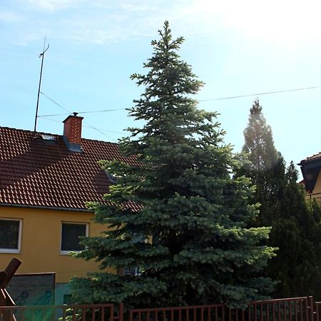 Dom Studia Petra Hotel Štúrovo Екстериор снимка