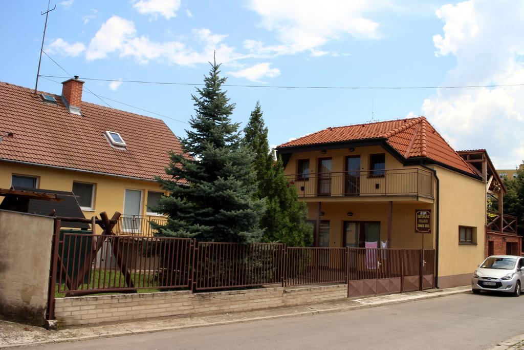 Dom Studia Petra Hotel Štúrovo Екстериор снимка