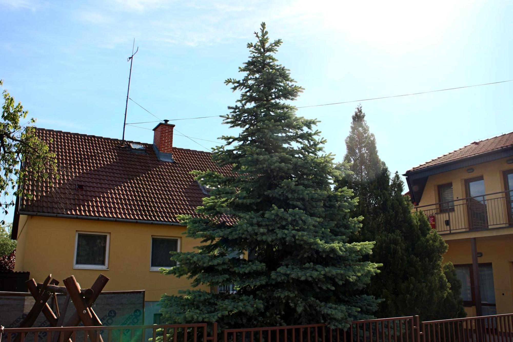Dom Studia Petra Hotel Štúrovo Екстериор снимка